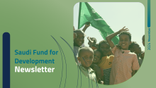 SFD English Newsletters November 2024
