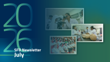 SFD English newsletter July 2026